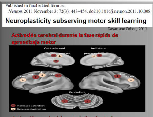 Neuroplasticidad y aprendizaje motor